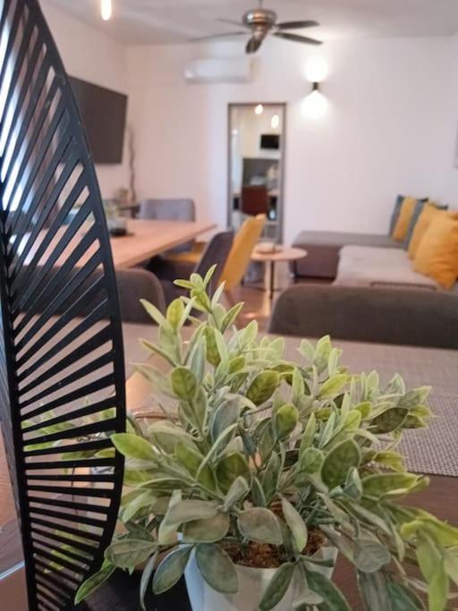 Holiday&Suite Klanac Vir Kültér fotó
